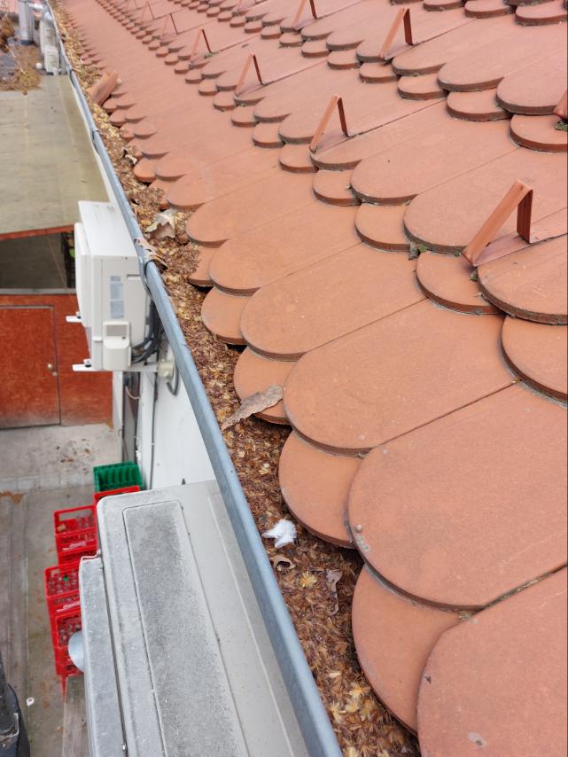 Csatorna tisztítás